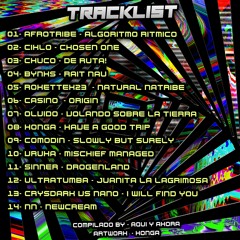 2 - Ciklo - Chosen One