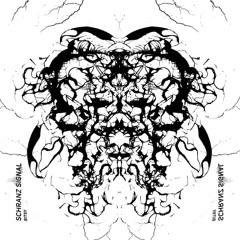 Schranz Signal (Original Mix)