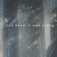 YOU KNEW IT WAS WRONG UPDATED