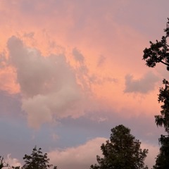 24 Feels Like November 2025