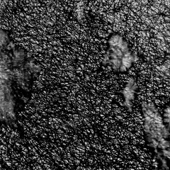 illusory reality