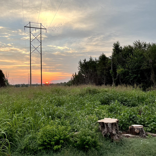 So Said Kay - The Field Mice