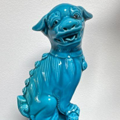 your dog
