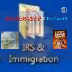 SNEKERWEED ft. FaceTimer10 - IRS AND IMMIGRATION