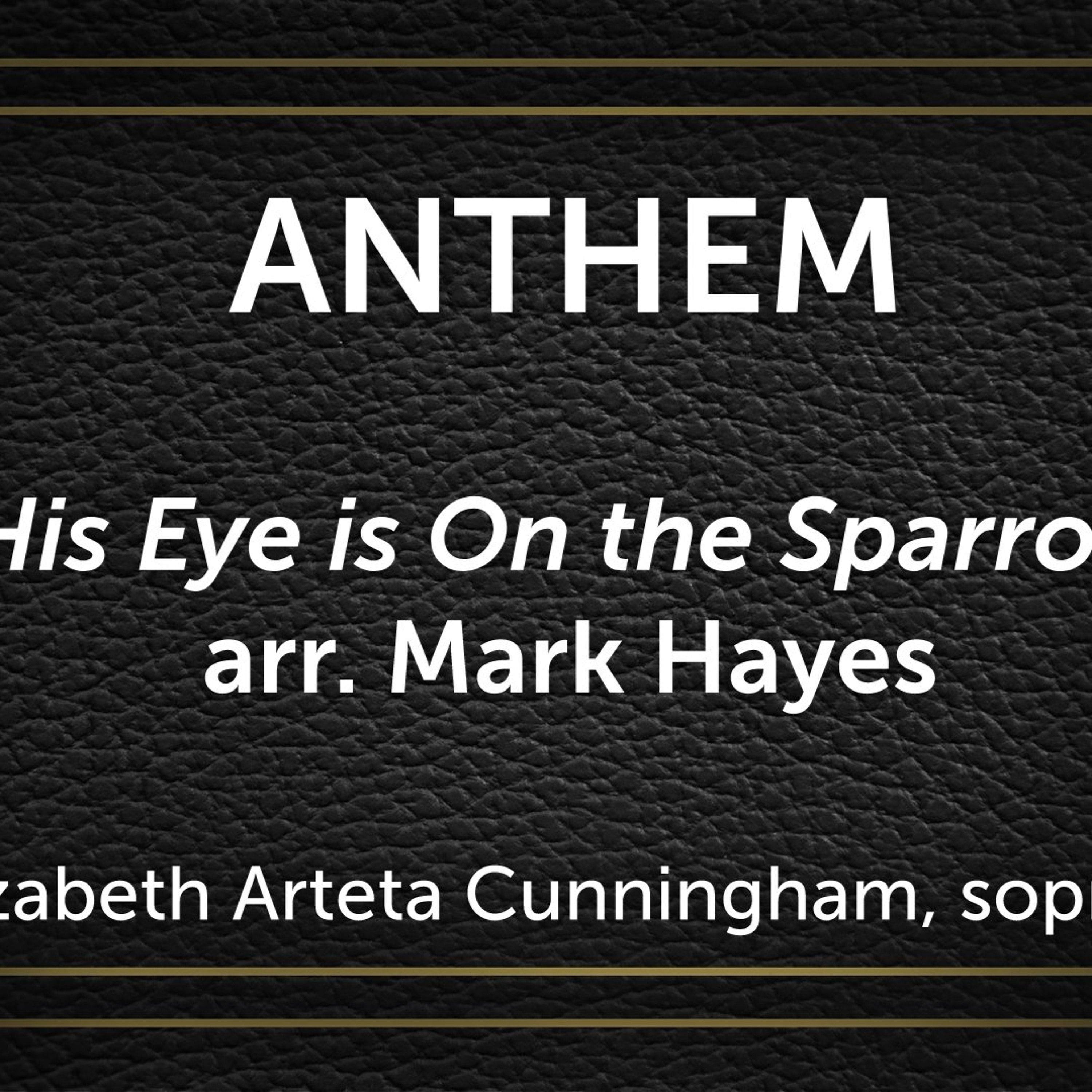 His Eye is On the Sparrow, arr. Mark Hayes - Elizabeth Arteta Cunningham, soprano, Scott King Owen, pianist episode artwork