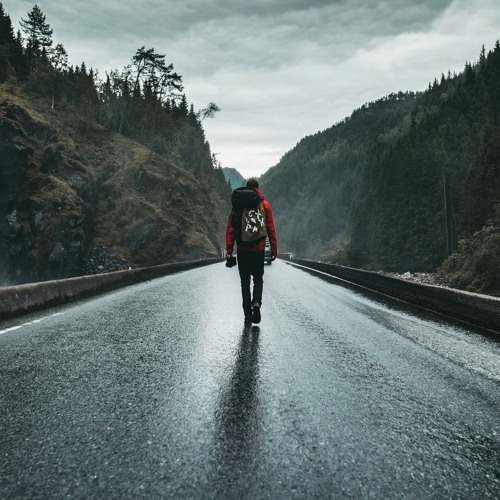 Download wallpaper 1920x1080 road, asphalt, fog, trees full hd, hdtv, fhd, 1080p