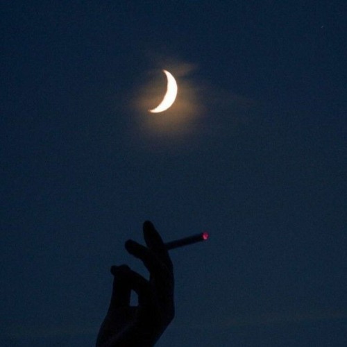kindy king - midnight