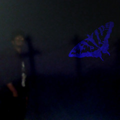 ghostly friend w/ Isn't It Andrea?