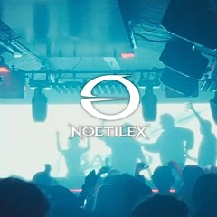 BAIRD | NOCTILEX NOIR | FULL POWER SCHRANZ SET