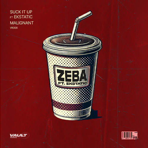 Zeba Ft. Ekstatic - Suck It Up