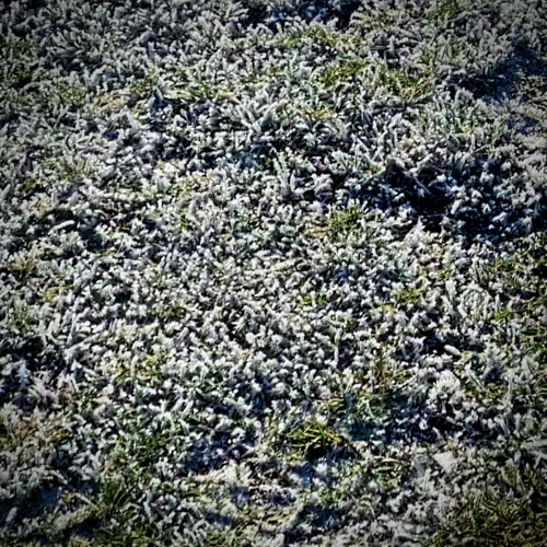 Endless Processor First Jam