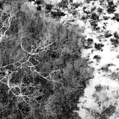 belaboring_the_pointlessness