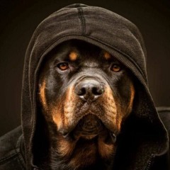 soundcloudterrier