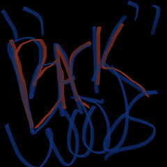 “BackWoods”(Ft.—LilATMIK) | made on the Rapchat app (prod. by VeeLoo CASH)