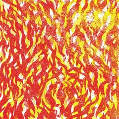 The Bug - 'Fire'
