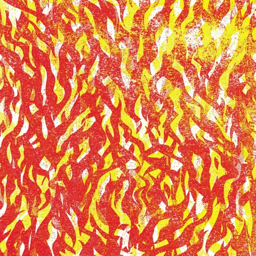 The Bug - 'Fire'
