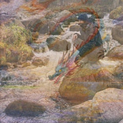 Waking Vibrations 87 (natural sounds and dan moi trance) 🎧 | Paulius Dauksas