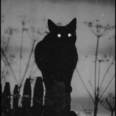 [FREE FOR PROFIT] HARD NIGHT LOVELL TYPE BEAT - "Eternal" | Dark Rap/Trap Instrumental