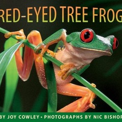 Episode 318 - Red-Eyed Tree Frog