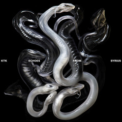 FYFTH ELEMENT