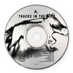 TRACKS IN THE MUD