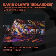 David Olarte Indlandsis 'The Future of Sound Healing' @ Ozora 2024 | Chambok House