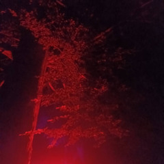 Olympus After 26.08.25