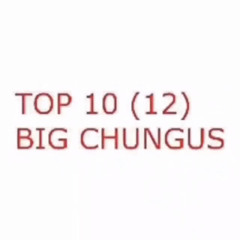 TOP 10 BIG CHUNGUS+News regarding Squiddo Blammed