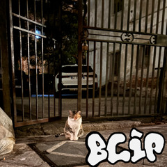 Blip