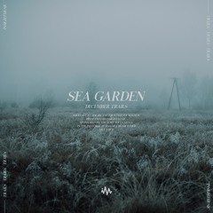 December Trails // Sea Garden
