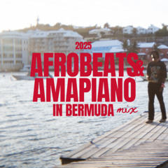 2025 AFROBEATS & AMAPIANO MIX