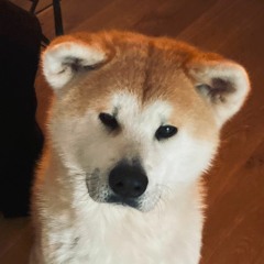 another-corona-sunday #3