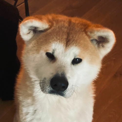 another-corona-sunday #3