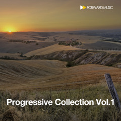 Progressive Collection Vol: 1-  Present