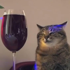 mewhengambling