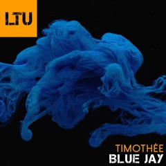 Timothée - Blue Jay (Original Mix)