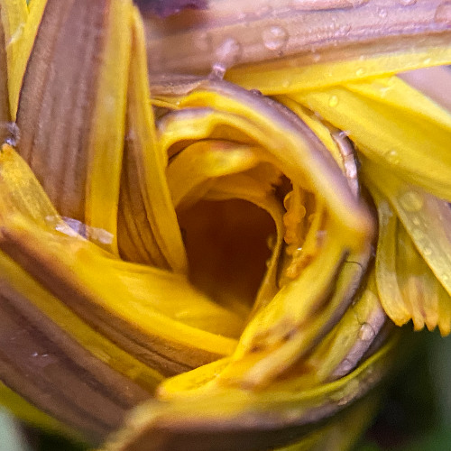 A new dawn