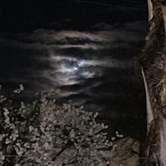 slipping again (syreeni)