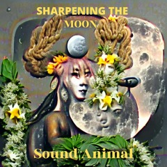 Sharpening The Moon