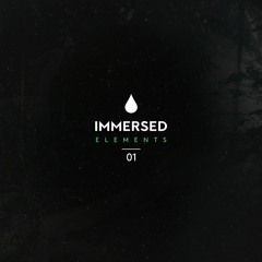 Dumitresku - The Moment Is All You Ever Have
