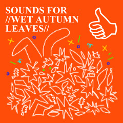 SOUNDS FOR //WET AUTUMN LEAVES// BY RŪTIKĖ_FM