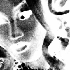 KONESER - PELLEGRINO