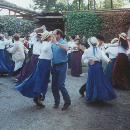 Tech House & Jungle 🪴🛖 Electro & DrumAndBass & House 🎧