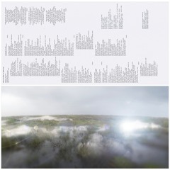 Thy Truong - light retina