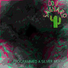 Programmed A Silver Moon