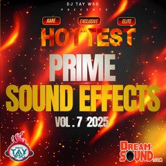 Sound Effects 2025 - DJ Tay Wsg - Sound EFX 7 (Hottest Prime)