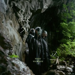 02. 一半一半_ 梦马WildRide