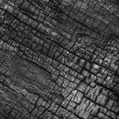 Charcoal Guitar Demo