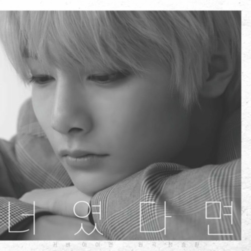 I.N 너였다면 Cover [SKZ-RECORD]