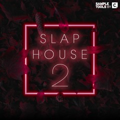 Slap House 2 - Demo 1 (Sample Pack)